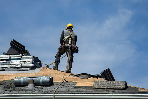 Professional Roof Installation technician working in Champlain, VA